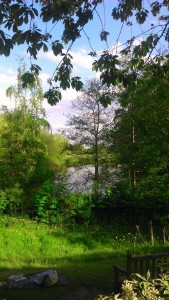 ladies pond