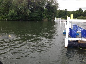 IMG_0045