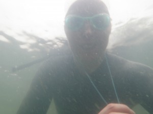 What bugs are lurking in the water?